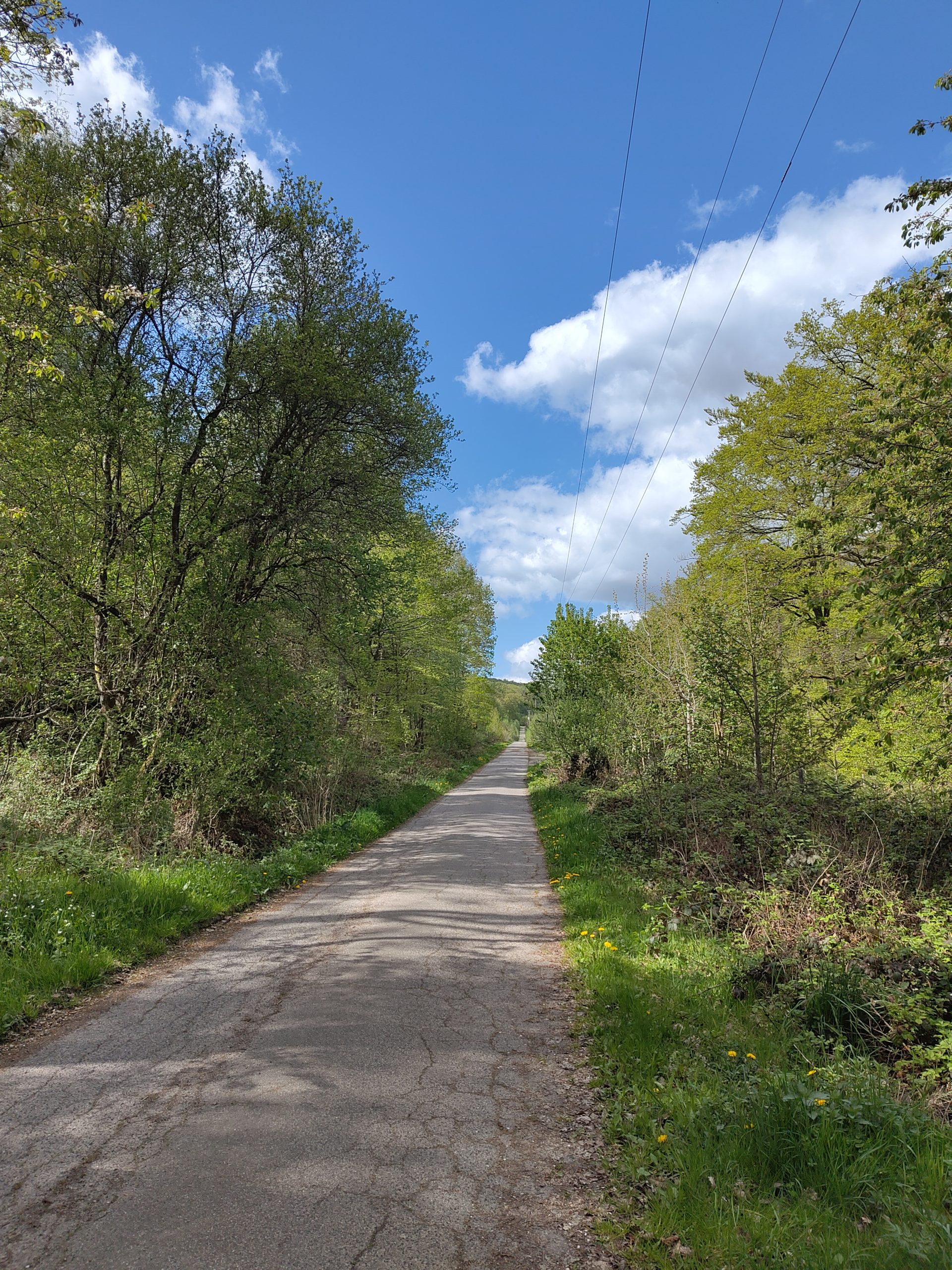 Natur und Fernwanderweg E4 – Inspiration für Walk & Talk Coaching